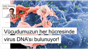 Hucrelerimizdeki virus DNA'si