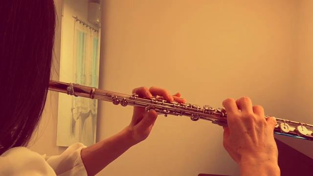 おれたちの船出【わが青春のアルカディア無限軌道SSX】水木一郎【フルートで演奏してみた】松本零士 Arcadia of My Youth Endless Orbit SSX смотреть онлайн