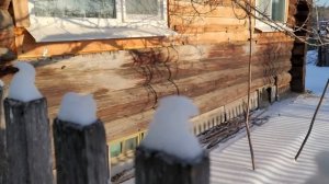 Купили дом на заимке! Едем проверять хозяйство