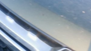 Воронеж, 20.09.2024, 16:31.
Безнадзорные хищники в непосредственной близости к Мегашколе.