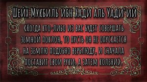 Шейх Мукбиль ибн Хади аль Уади'ий ✍️Бахтияр абу Карим аль Уйгури