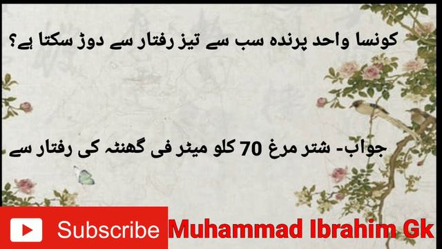 Dunia ka sabse pyara aur bewakoof janwar | Muhammad Ibrahim GK |GK| Dilchasp Malomaat |New GK vide смотреть онлайн