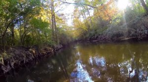 Topwater creek fishing