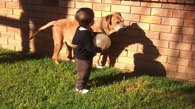 Mateo, Rubin and Annie in the backyard смотреть онлайн