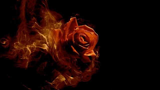 Kamelot - Memento Mori (feat. Shagrath & Mari Youngblood) смотреть онлайн