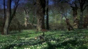 Роня,дъщерята на разбойника (1984) Бг аудио