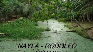 NAYLA - RODOLFO AYCARDI