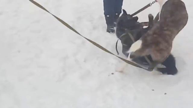 Мартин и Мэри январь  (16-01-2019) смотреть онлайн