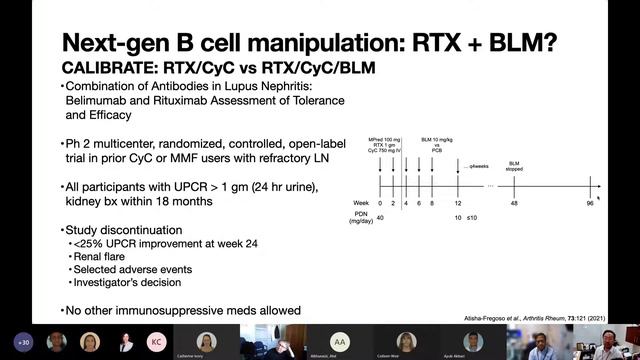 Updates in LN: New Era of Therapies with Dr. Alfred Kim смотреть онлайн