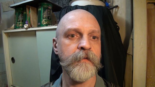 Baudelaire Ch. The Carcase. Tr. by Roy Campbell. Read by dumb leper смотреть онлайн