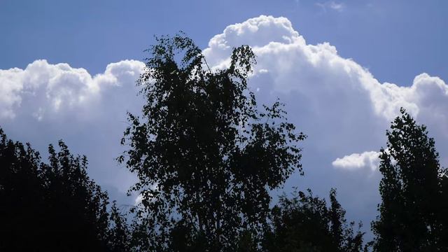 Artavazd Melkonyan - Mek mek ari смотреть онлайн