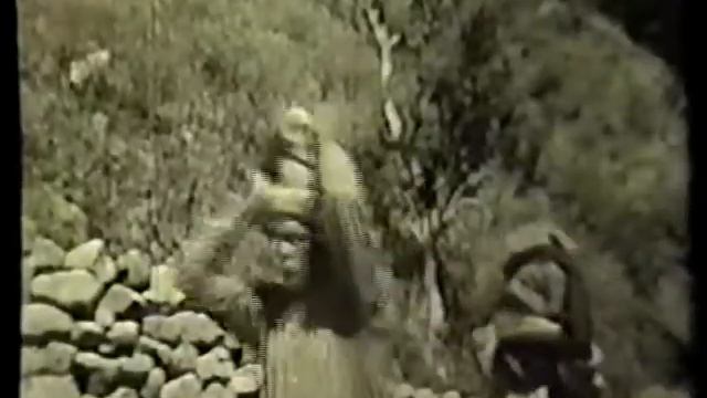 Saba History - The Saba Road 1937