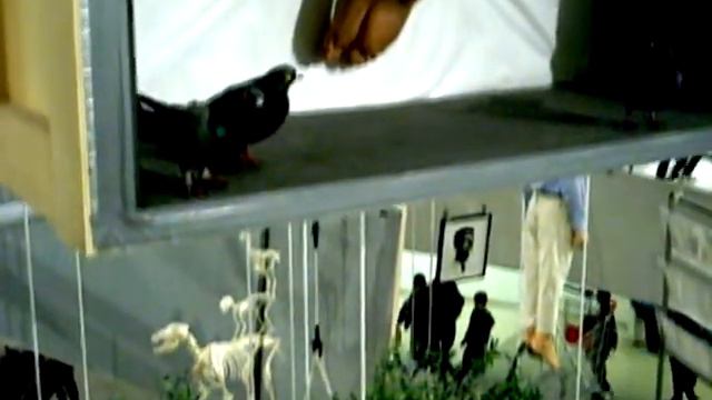 "All" Maurizio Cattelan NYC