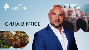 Сила в мясе — Как устроен мир с Тимофеем Баженовым (16.10.2023)