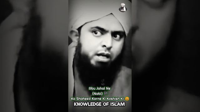 Kya Alien 👽 Hote Hain? Abu Jahal Ne Fir Kya Dekha Tha?😨😨 Answer By Engineer Muhammad Ali Mirza смотреть онлайн