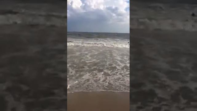 Maribel de shulton смотреть онлайн