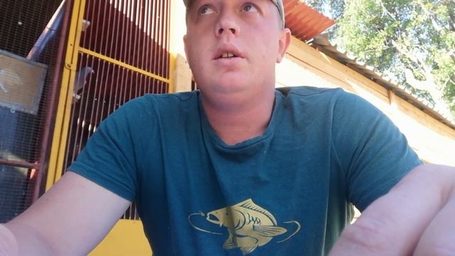 How to breed put the perfect bird together