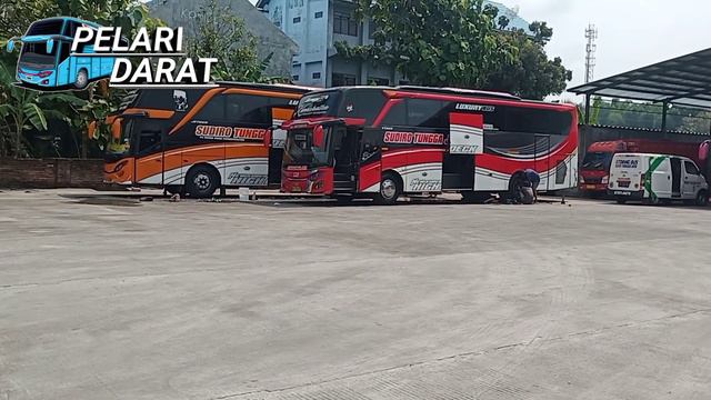 Begini kondisi garasi sudiro tungga jaya || ada unit apa saja...?? #pelaridarat #sudiro tungga jaya