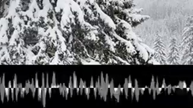 Punkshop Pérotin mvwmwxwwzb смотреть онлайн