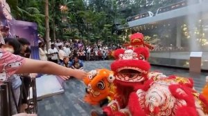 2023 Lion dance @Jewel Changi Airport (appearance from Fann Wong and Christopher Lee)