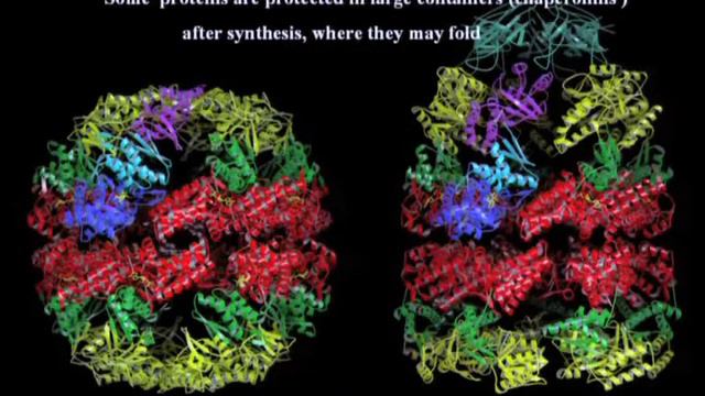 Robert Huber, Beauty and Fitness for Purpose: the Architecture of Proteins