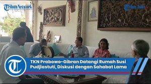 TKN Prabowo-Gibran Datangi Rumah Susi Pudjiastuti, Iwan Bule Sebut Diskusi dengan Sahabat Lama