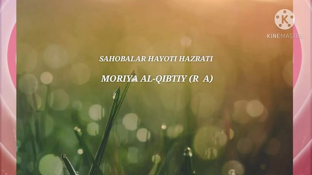 SAHOBALAR HAYOTI-MORIYA AL-QIBTIY (R  A) САХОБАЛАР ХАЁТИ-МОРИЯ АЛ-КИБТИЙ (Р  А)