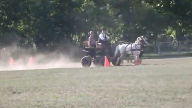 Csobaj 2015 fogathajtás 1. Kapuvári Miklós akadályhajtás смотреть онлайн