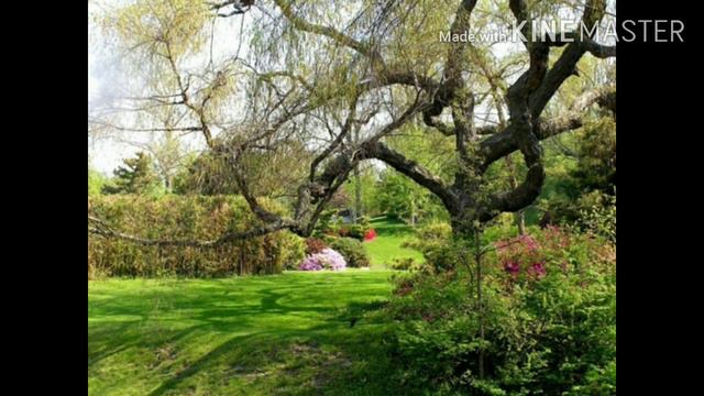 Златосвет - Улыбнись смотреть онлайн