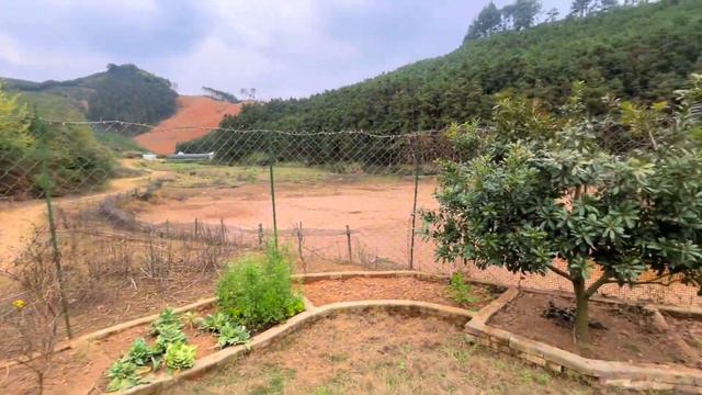 小伙深山搞养殖，没事种种花，冰箱锅碗瓢盆都当花盆使用，真省钱 смотреть онлайн