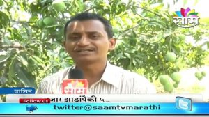 Ravi Marshetivar's zero budget natural mango farming success story