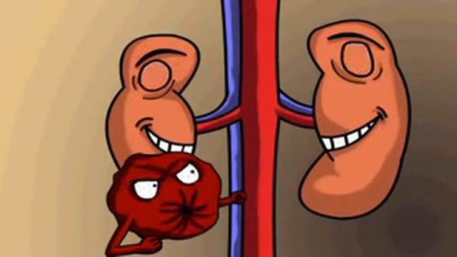 Whatzaap cu bate coração смотреть онлайн