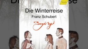 Winterreise, Op. 89, D. 911 (Arr. for Oboe, Bassoon & Piano) : No. 9, Irrlicht