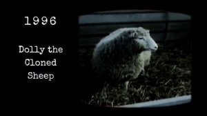 The Evolution of Genetic Engineering