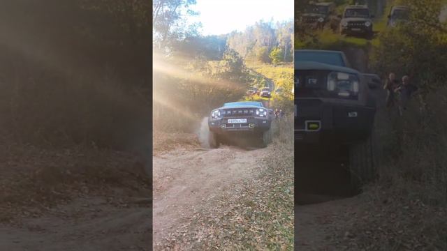 video5438658271642671329
