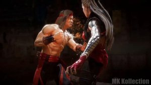 Mortal Kombat 11 - ALL Fatalities On Lawless Sindel (1080p 60fps)