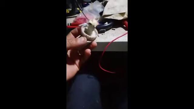 Paano ayosin ang sirang Electric fan full video Tutorial смотреть онлайн