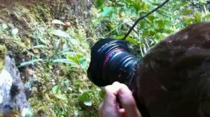 Reekie Linn Excursion