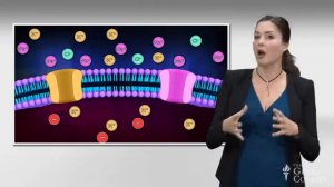 ELECTRICAL - Forces, Fields & Circuits - Lecture 12 of 24