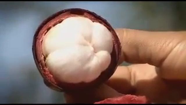 История Джо Мортона - как создавали компанию Xango смотреть онлайн