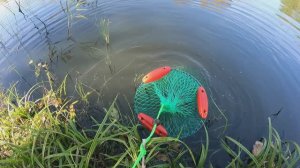 ВЫЕХАЛ ЗА ОСЕННИЙ ЩУКОЙ! ЖИВЕЦ БОДРЯК! ЗА КАДРОМ)))