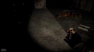 S.T.A.L.K.E.R. Catalyst: Complementation #2  ФАНТОМЫ