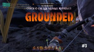 GROUNDED - Нашли вход к чёрным муровьям