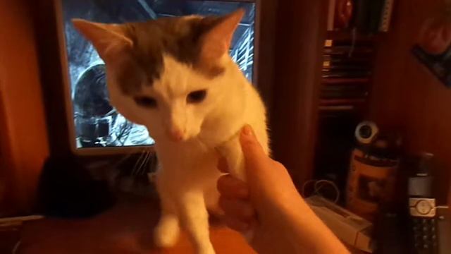 Очень приятно ЦАРЬ!!!!!! смотреть онлайн