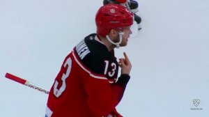 Hellberg denies it with his pad