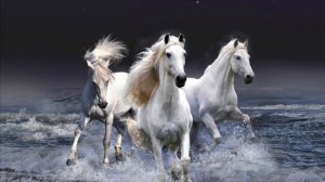 Cerys Matthews White Horses