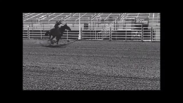 Finding your WHY. Sports Communication Final смотреть онлайн