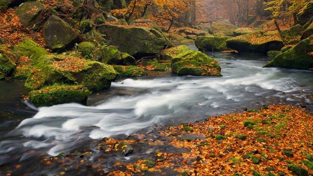 Emil Gilels - Glazunov - Piano Sonata No 2 in E minor, Op 75 смотреть онлайн