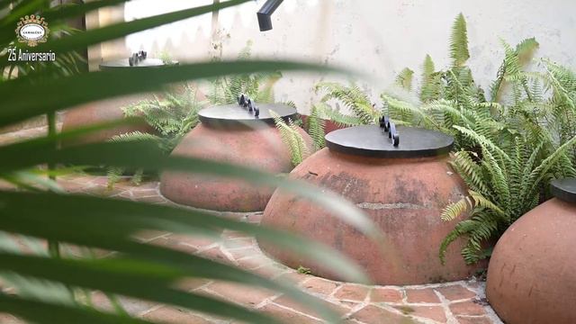 CAPSULA CASA NATAL IGNACIO AGRAMONTE смотреть онлайн