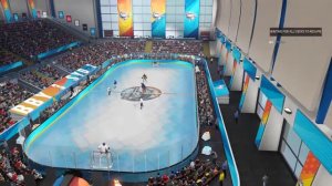 NHL® 19 3v3s 4 goals